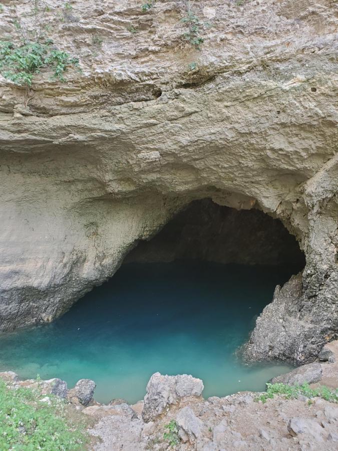 La Fontaine Au Loup Gasthuis Saint-Maurice-sur-Eygues